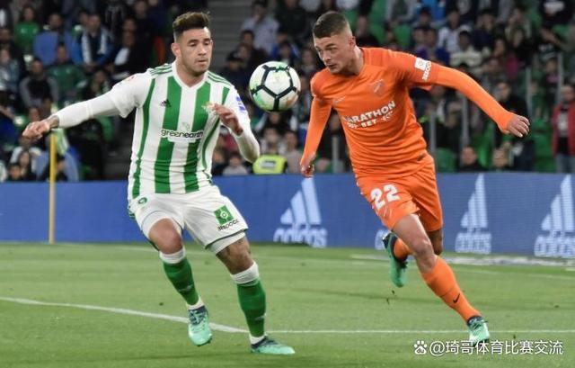  国王杯直播在线观看免费观看 